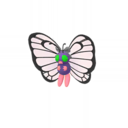 butterfree