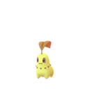 chikorita