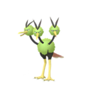 dodrio
