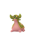 gastrodon