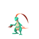 grovyle