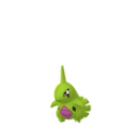larvitar