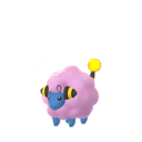 mareep