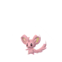 minccino