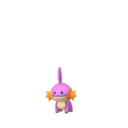 mudkip