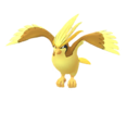 pidgeot