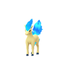 ponyta