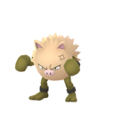 primeape