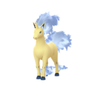 rapidash