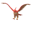 talonflame