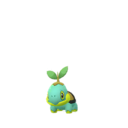 turtwig